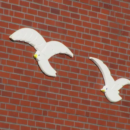 Fewo-möwenpaar-norden-norddeich